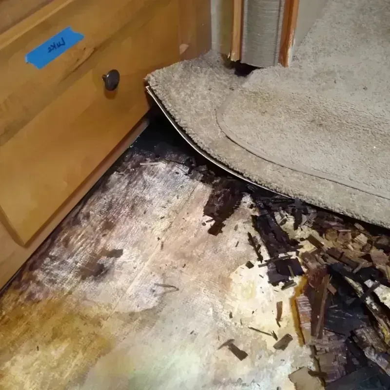 Wood Floor Water Damage in Nekoosa, WI